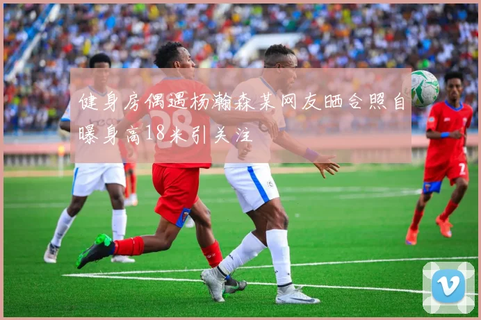 健身房偶遇杨瀚森某网友晒合照自曝身高18米引关注